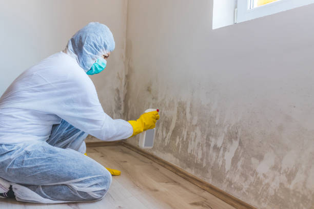 Bathroom Mold Removal assessment in Teterboro bathroom