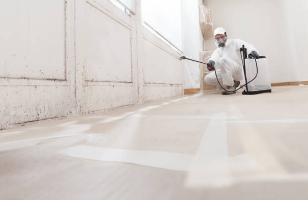 Black mold remediation team in Teterboro